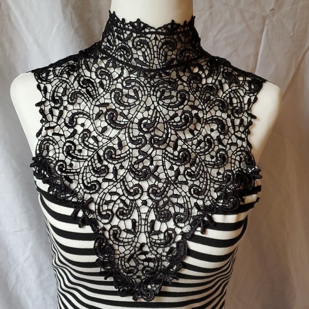 Victorian Stripe and Lace Fitted Dress